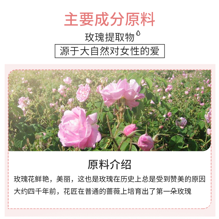 玫瑰精油,MARG,玛格,玛格MARG,精油,SPA